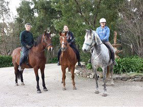 Academy Of Dressage - St Kilda Accommodation 0