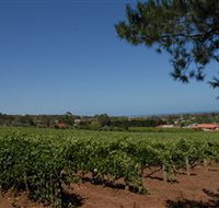 Grancari - St Kilda Accommodation