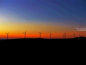 Starfish Hill Windfarm - St Kilda Accommodation 0