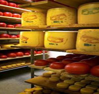 Alexandrina Cheese Company - St Kilda Accommodation