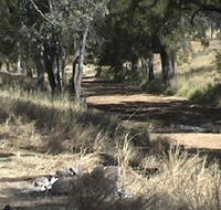 Chudleigh Park Gem Fields - St Kilda Accommodation