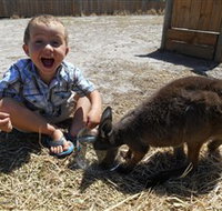 Animal Farm Goolwa - St Kilda Accommodation