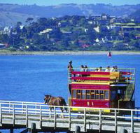 Granite Island Recreation Park - St Kilda Accommodation