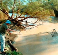 Charleville - Ward River Fishing Spot - St Kilda Accommodation
