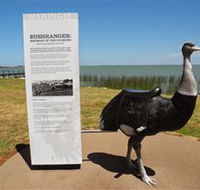 Birdman of the Coorong - St Kilda Accommodation