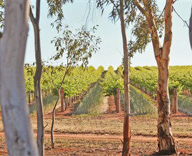 Trentham Estate Winery - St Kilda Accommodation 4