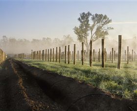 Andrew Peace Wines - St Kilda Accommodation 5