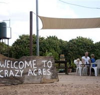 Crazy Acres - St Kilda Accommodation