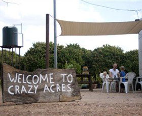 Crazy Acres - St Kilda Accommodation 0