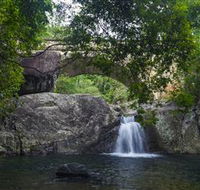 Paluma and Crystal Creek Rainforest - St Kilda Accommodation