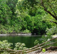 Broadwater Abergowrie State Forest - St Kilda Accommodation