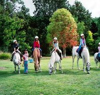 Limestone Coast Horseriding - St Kilda Accommodation