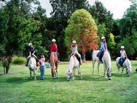 Limestone Coast Horseriding - St Kilda Accommodation 0