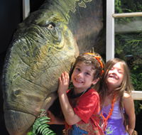 Australian Opal Centre - St Kilda Accommodation