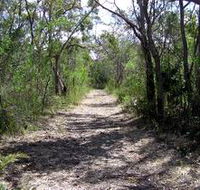 Lanky's Walk - St Kilda Accommodation