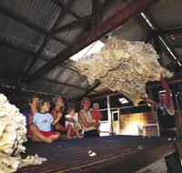 Shear Outback the Australian Shearers Hall of Fame - St Kilda Accommodation