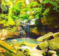 Carnarvon Gorge Carnarvon National Park - St Kilda Accommodation