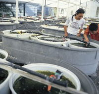 James Cook University of North Queensland - St Kilda Accommodation