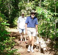 Wongabel State Forest - St Kilda Accommodation