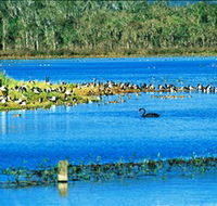 Hasties Swamp National Park - St Kilda Accommodation