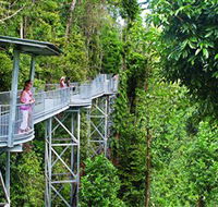 Mamu Tropical Skywalk - St Kilda Accommodation