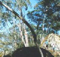 Dergholm State Park - St Kilda Accommodation