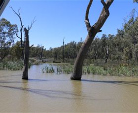 Wetlander Cruises - St Kilda Accommodation 4