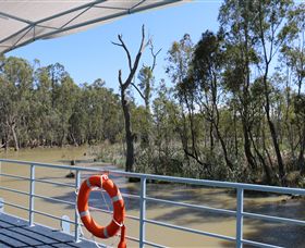 Wetlander Cruises - St Kilda Accommodation 6