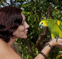 Birdworld Kuranda - St Kilda Accommodation