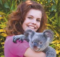 Kuranda Koala Gardens - St Kilda Accommodation