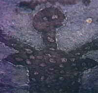 Quinkan Reserves Ancient Rock Art - St Kilda Accommodation