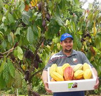 Sweet Farm Tours - St Kilda Accommodation