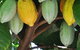 Sweet Farm Tours - thumb 3