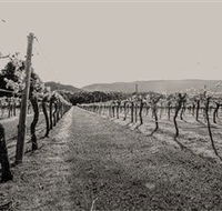 Halls Gap Estate - St Kilda Accommodation