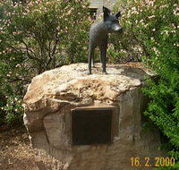 Dingo Statue - St Kilda Accommodation
