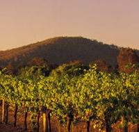 Taltarni Vineyards - St Kilda Accommodation