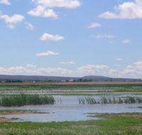 Fivebough Wetlands - St Kilda Accommodation