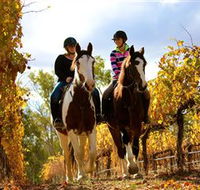 Billabong Ranch - St Kilda Accommodation