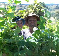 Wimmera Hills Winery - St Kilda Accommodation