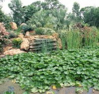 Mackenzie Park - St Kilda Accommodation