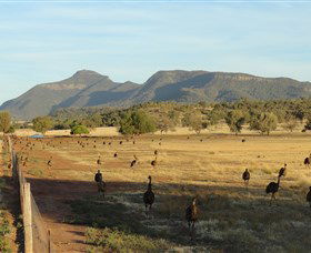 Tooraweenah NSW St Kilda Accommodation