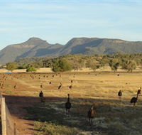 Emu Logic - St Kilda Accommodation
