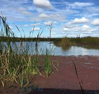 Gwydir Wetlands - St Kilda Accommodation