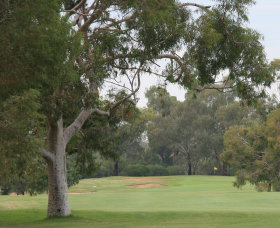 Tocumwal Golf Club - St Kilda Accommodation 2