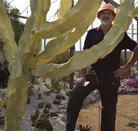 Cactus Country - St Kilda Accommodation