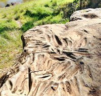 Terramungamine Rock Grooves