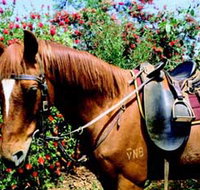 Western Plains Riding Centre - St Kilda Accommodation