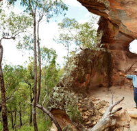 Pilliga National Park - St Kilda Accommodation