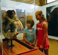 Australian Museum Diprotodon Exhibition - St Kilda Accommodation
