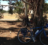 Murchison Rail Trail - St Kilda Accommodation